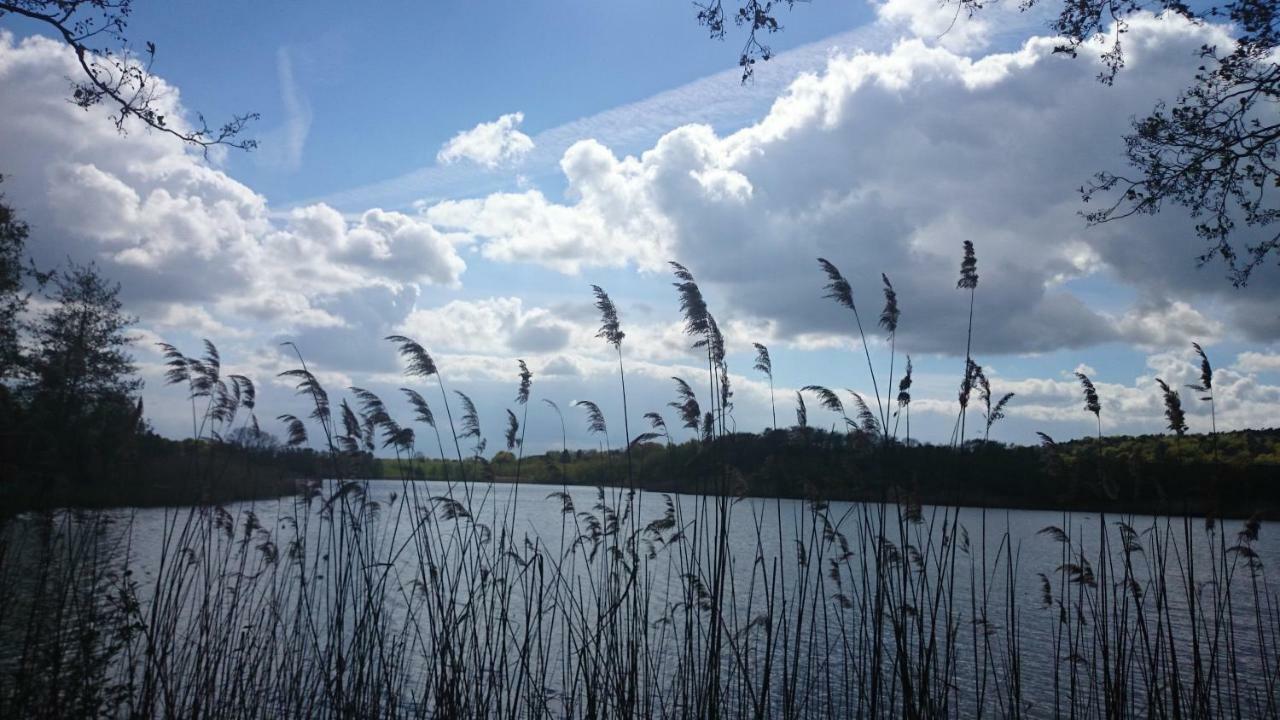 Schloonseevilla mit Tiefgarage - 200 m zum Strand Heringsdorf  Buitenkant foto